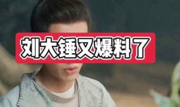 刘大锤爆料真假视频,真假视频揭秘，真相究竟如何？